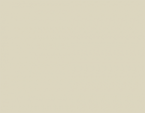 Aeris™ Wood+Vinyl Window Finish Beige